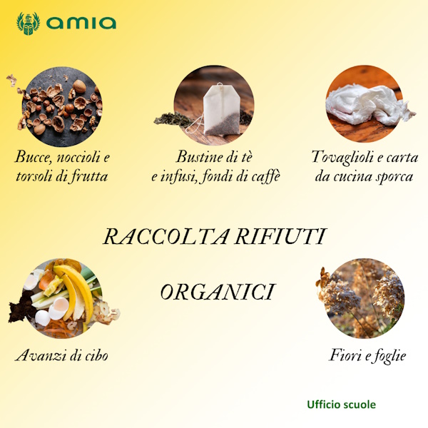 Raccolta rifiuti organici
